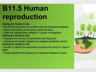 B11.5 Human reproduction