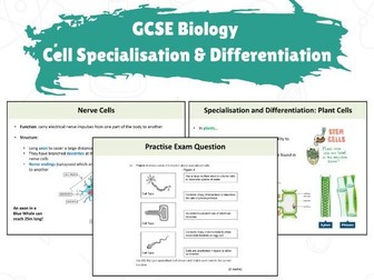 GCSE Biology - Cell Differentiation & Specialisation