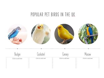 Btec Animal Care- Pet Birds