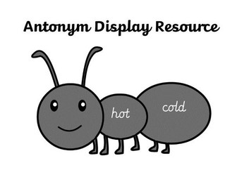 Antonyms Display