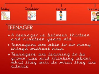 Year 2 Science. Animals, Including Humans. Lesson 5. Human life-cycle.