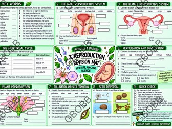 KS3 Activate 1 Reproduction Revision Mat