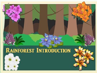 Introduction to the Rainforest