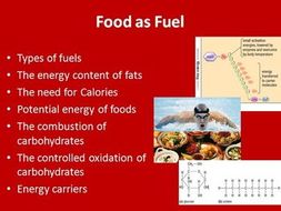 Food as fuel: how our bodies use it- Biology PowerPoint Lesson and Student Notes