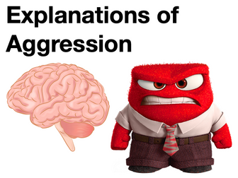 Explanations of Aggression