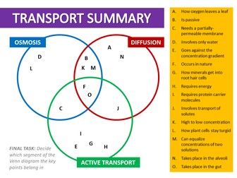 Active transport - For Section 2D Edexcel IGCSE Biology (Movement of substances in and out of cells)
