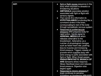 Biopsychology essay plan (A level only content)