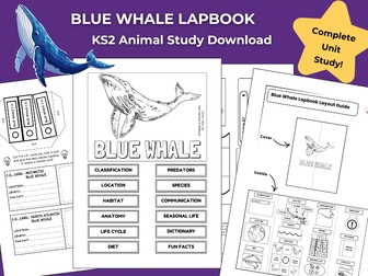 Blue Whale KS2 Animal Science Activities | Lapbook