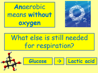AQA Biology Unit 4 - L2 Anaerobic Respiration