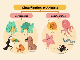 Animal Classification