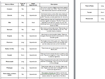 Bone types and shapes puzzle sheet