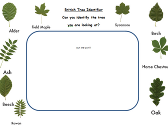A viewer to aid children in KS1 to identify common British Trees