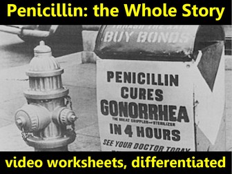 The Discovery of Penicillin: video worksheets, differentiated.