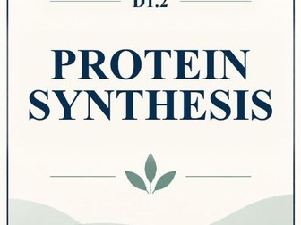 IB Biology HL D1.2 Protein Synthesis MCQ Practice