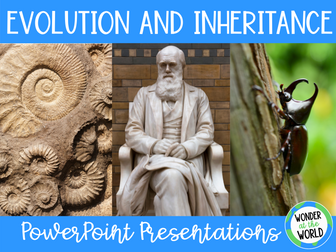 Year 6 evolution and inheritance PowerPoint bundle