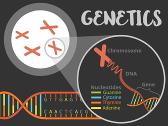 Genetics Summary Poster