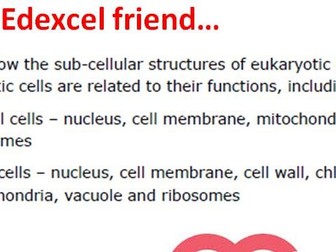 GCSE 9 - 1 Biology Key concepts - CB1b Plant & animal cells