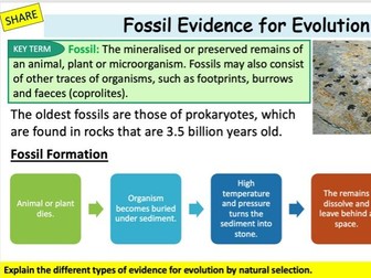 OCR A Biology Evidence for Evolution Lesson
