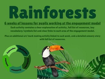 Rainforests MTP Engagement Model SEND