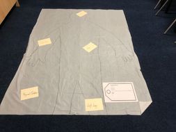 Fake Autopsy Report