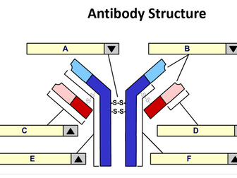OCR A-Level Biology Communicable Diseases