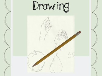 Contour Line Drawing Art Worksheets primary or secondary or adult