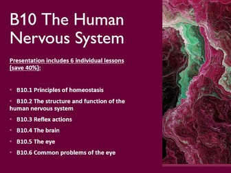 B10 The Human Nervous System