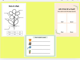 Plants - Label, life cycle, instructions