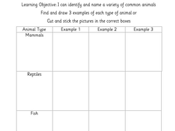 I can identify and name a variety of common animals (Year 1) | Teaching