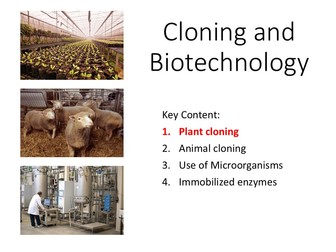 OCR A level Biology - Cloning and Biotechnology