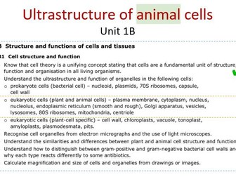 BTEC Applied Science Unit 1 Biology B1 and B2 Cell Structure, Function and Specialisation