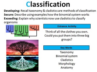 GCSE Biology: Classification (Lesson 2)