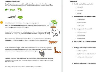 How Food Chains Work Science Reading