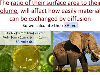 AQA Combined Science Biology Paper 1