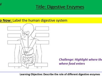 Factors affecting enzymes
