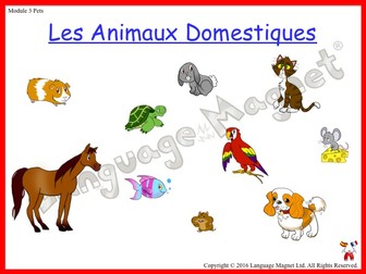 French Pets