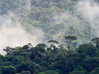Introduction to ecosystems AQA GCSE Geography