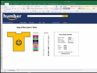 Data validation & conditional formatting lesson