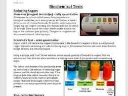 Biochemical Tests handout