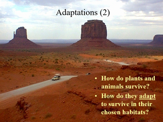 Adaptations in the desert