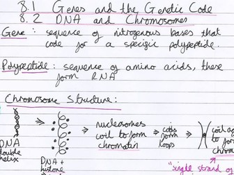 Transcription Translation Splicing Condensed Handwritten Notes with Diagrams