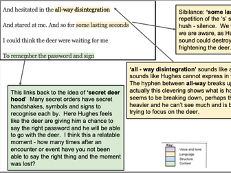 'Roe Deer' by Ted Hughes: analysis & tasks.