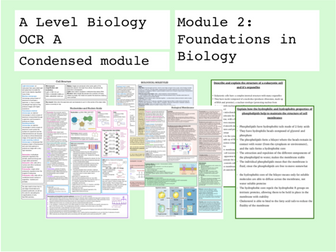 A Level Biology OCR A Module 2 Summary