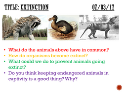 Extinction - complete lesson (KS3) | Teaching Resources