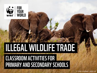 Illegal Wildlife Trade - Activities for Primary and Secondary Schools