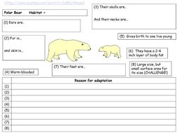 adaptations and competition ks3 science teaching resources