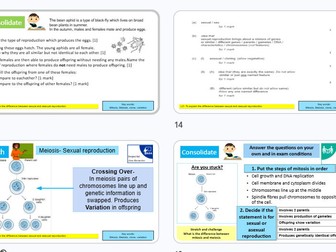 Sexual and asexual reproduction GCSE combined Science AQA