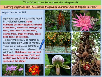 Physical Characteristics of Tropical Rainforest Lesson Presentation