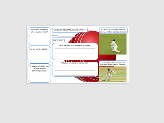 Cricket non-participant / self-assessment worksheet