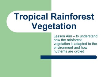 Tropical Rainforest Plant Adaptations and Nutrient Cycling Lesson